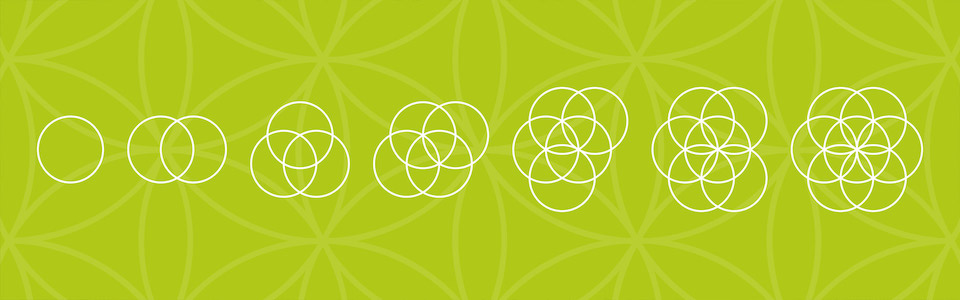 Blume des Lebens: die Heilige Geometrie