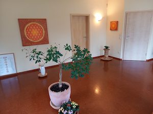 Blume des Lebens Bild: Feuerball Blume des Lebens Bild: Feuerball