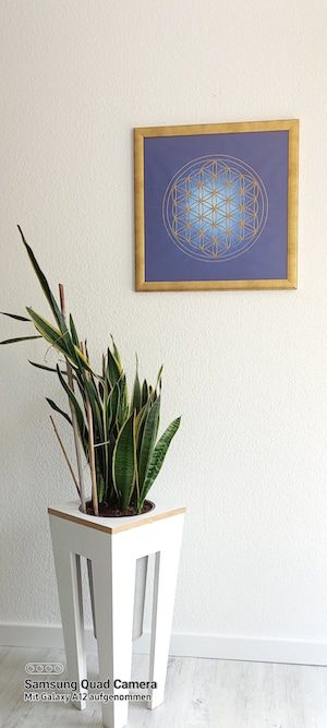 Die blaue Blume des Lebens als Poster mit goldenen Rahmen auf weißer Wand Die blaue Blume des Lebens als Poster mit goldenen Rahmen auf weißer Wand